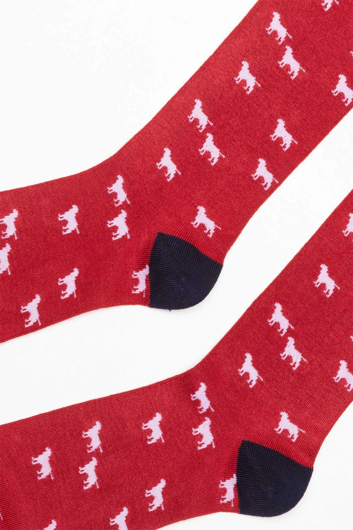 Men's Dog Patterned Socks