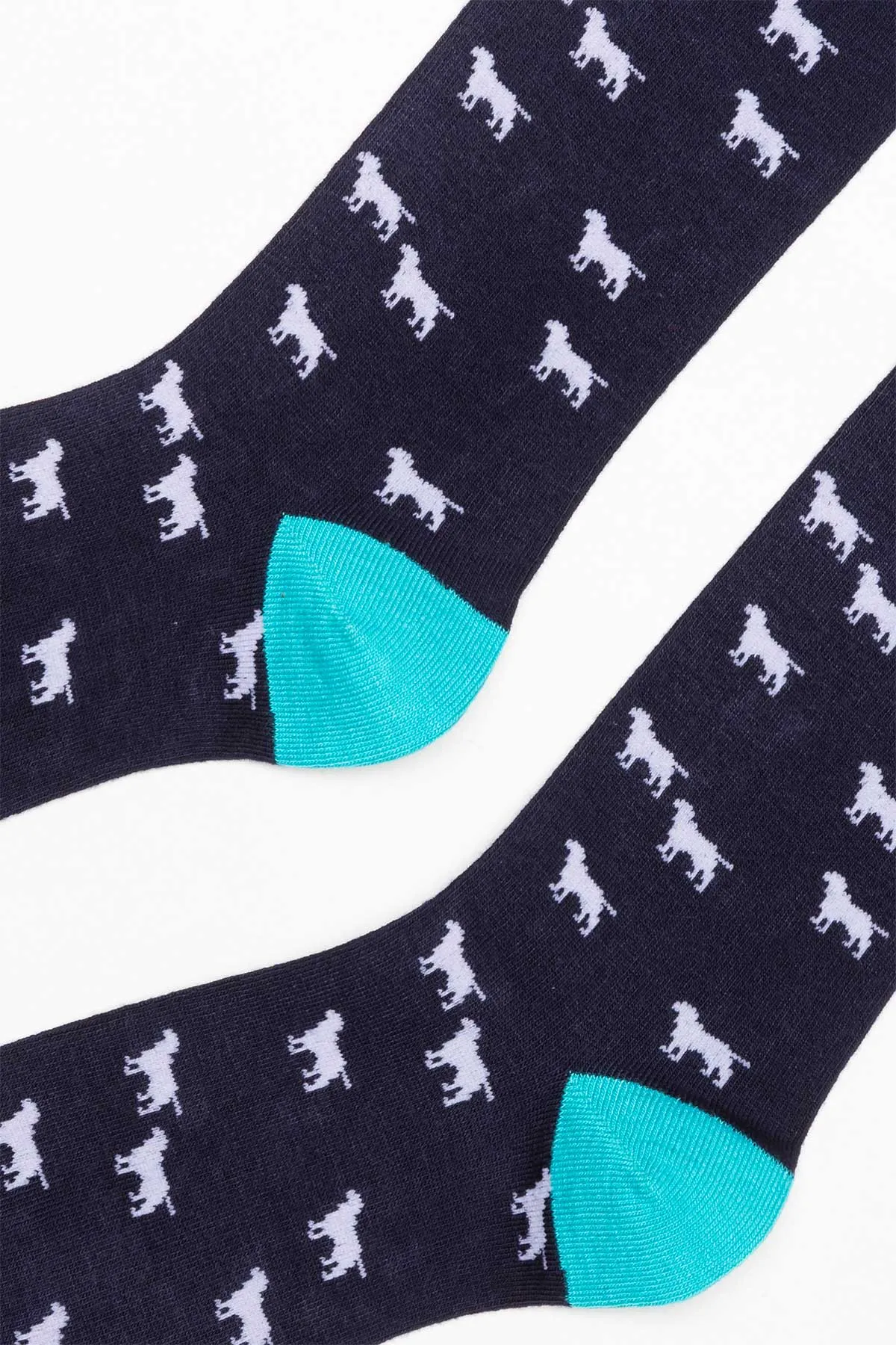 Men's Dog Patterned Socks