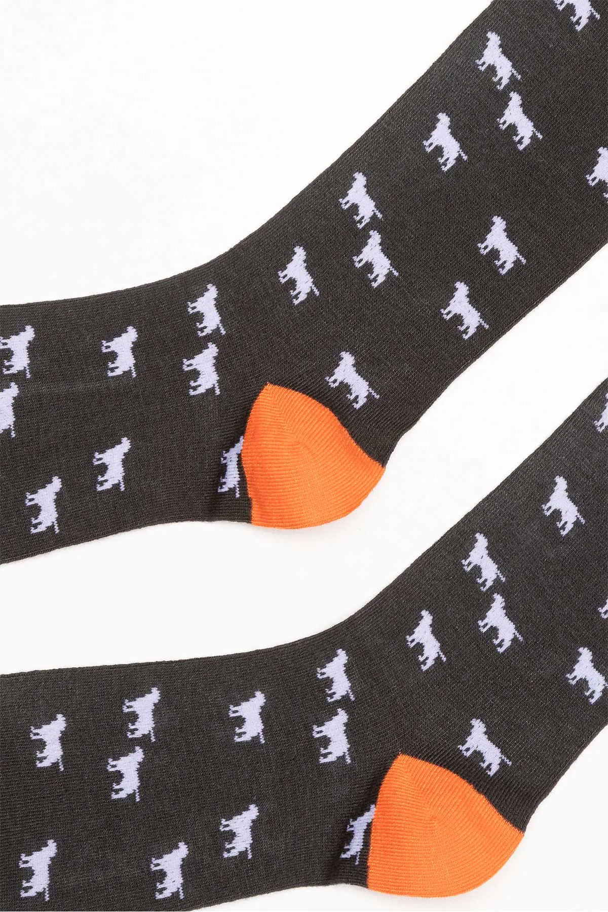 Men's Dog Patterned Socks