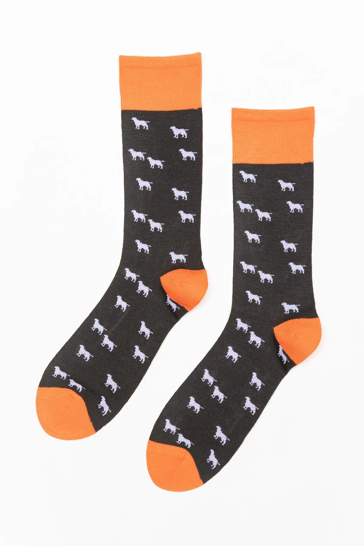 Men's Dog Patterned Socks